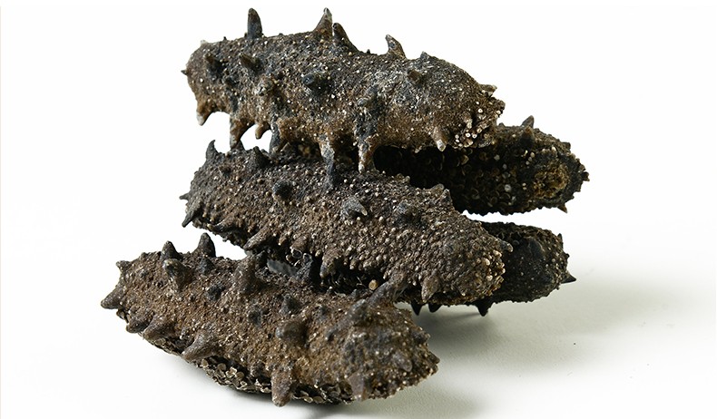 位元堂 纯干海参礼盒 100g