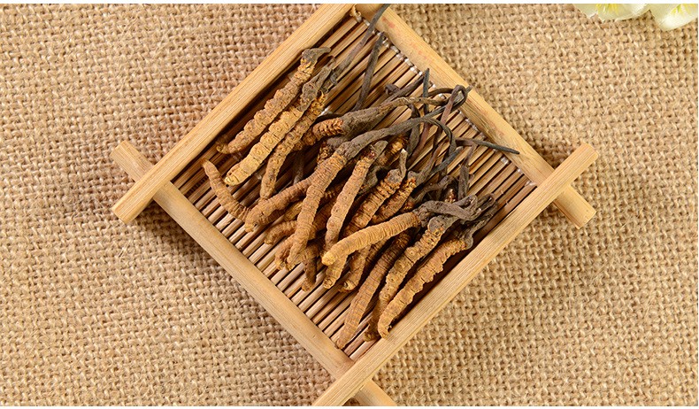 位元堂 冬虫夏草 2g