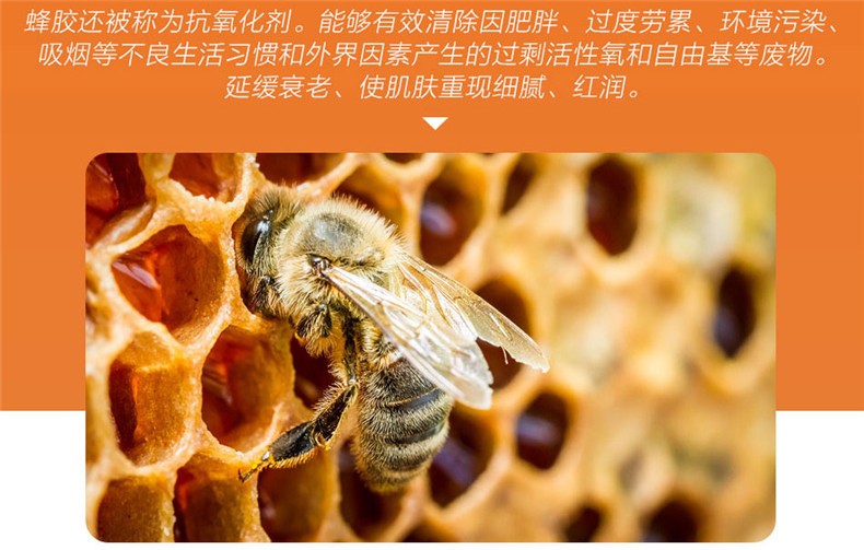 【效期20.5】enervite/澳乐维他 天然澳洲黑蜂胶 30粒