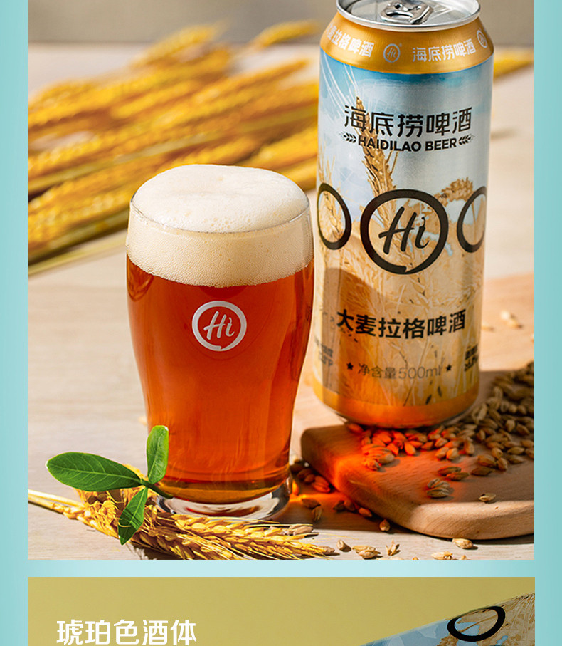 海底捞 大麦拉格精酿啤酒 500ml 12罐1箱装