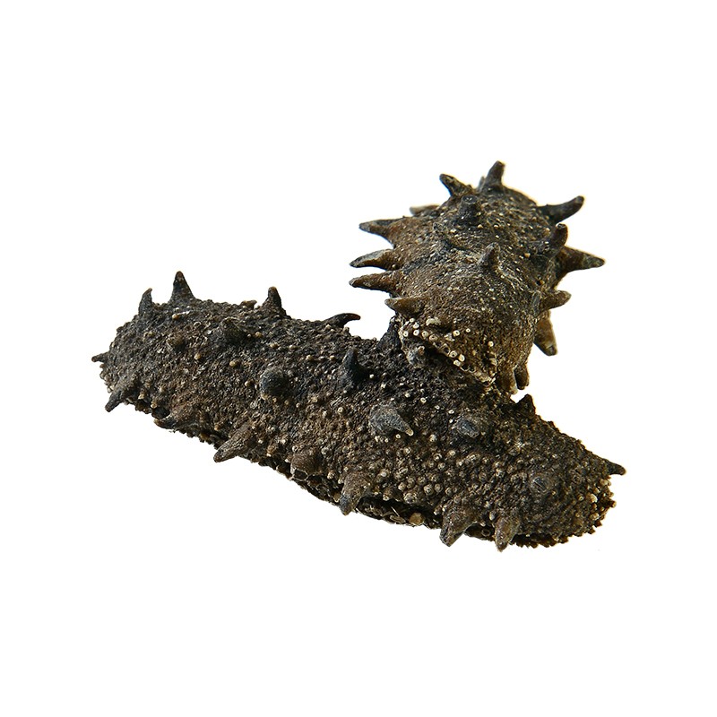 位元堂 纯干海参礼盒 100g